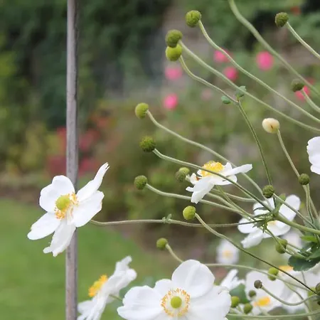 Le Chemin Du Village 3*