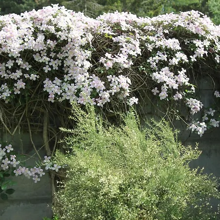 Le Chemin Du Village Couette-café 3*