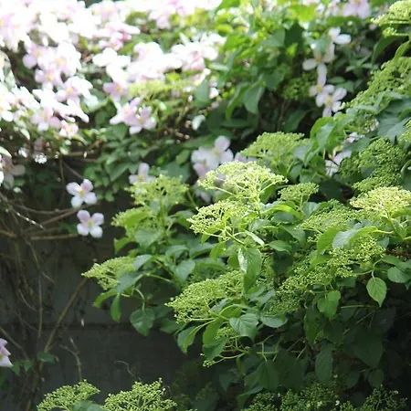 Le Chemin Du Village Bed & Breakfast Croth