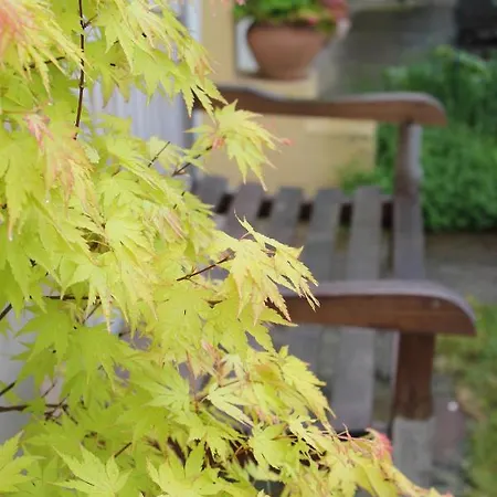 Le Chemin Du Village Bed & Breakfast *