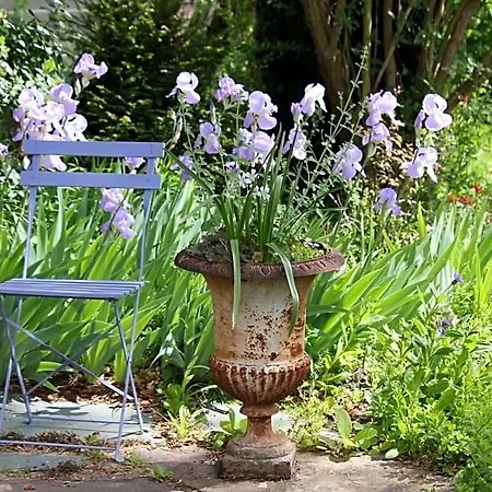 Le Chemin Du Village Bed & Breakfast