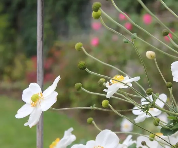 Le Chemin Du Village 3*